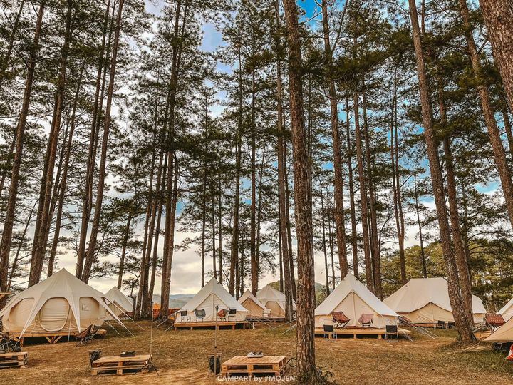 Gợi ý địa điểm picnic giữa rừng thông Đà Lạt cho cuối tuần thư giãn